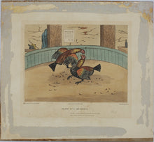 Load image into Gallery viewer, C.R. Stock, after. Cockfighting. Two prints XIX - XX C.