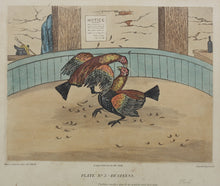 Load image into Gallery viewer, C.R. Stock, after. Cockfighting. Two prints XIX - XX C.