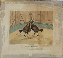 Load image into Gallery viewer, C.R. Stock, after. Cockfighting. Two prints XIX - XX C.