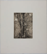 Load image into Gallery viewer, Ladislav Hanka. Twin Tranks. Etching. 1985.
