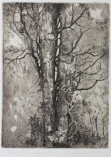 Load image into Gallery viewer, Ladislav Hanka. Twin Tranks. Etching. 1985.