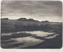 Load image into Gallery viewer, Anonymous. After the rain. Etching. Early XX C.