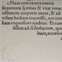 Load image into Gallery viewer, Italian School XVI C. Monogrammist M.B. Capricorn. Woodcut.