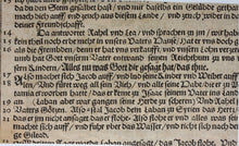 Load image into Gallery viewer, Virgil Solis, after. Jacob’s Flock Prospers. Woodcut from Bible translated by Martin Luther. XVI C.