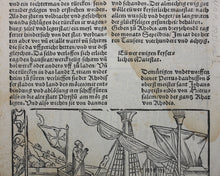 Load image into Gallery viewer, Johannes Adelphus. Die Türkisch Chronik. Ottoman emissaries to the Grand Master of the Knights Hospitaller in Rhodes. Woodcut. XVI C.