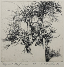 Load image into Gallery viewer, Ladislav R. Hanka. Beyond the Fence. Etching. 1983.