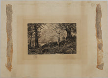 Load image into Gallery viewer, Rudolph Bleyer. Forest Landscape with Rocks and Stream. Etching. Late XIX – early XX century.