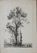 Load image into Gallery viewer, Monogrammist J.B. (presumably Jean Bernard). Study of a Pollarded Willow. Etching. ca. 1820–1833.