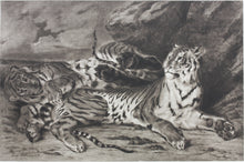 Load image into Gallery viewer, Eugène Delacroix, after. Young Tiger Playing with Its Mother. Reproduction print. XX C.