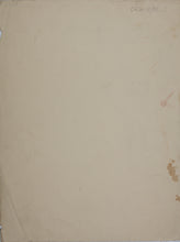 Load image into Gallery viewer, Young Woman with Hat and Parasol. Graphite drawing. Late XIX C.