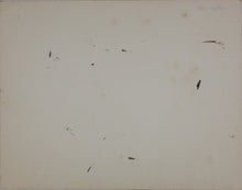 Load image into Gallery viewer, John Middleton Freeman. Coastal seascape. Ink drawing. Late XX C.