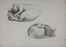 Load image into Gallery viewer, John Middleton Freeman. Sketches of cats. Two sheets of graphite drawings. XX C.