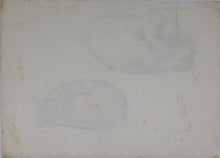 Load image into Gallery viewer, John Middleton Freeman. Sketches of cats. Two sheets of graphite drawings. XX C.