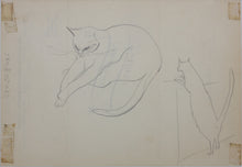 Load image into Gallery viewer, John Middleton Freeman. Sketches of cats. Two sheets of graphite drawings. XX C.
