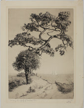 Load image into Gallery viewer, Walter Ronald Locke. Along the Gulf of Mexico. Florida. Etching. 1934.