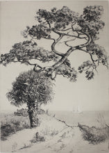 Load image into Gallery viewer, Walter Ronald Locke. Along the Gulf of Mexico. Florida. Etching. 1934.