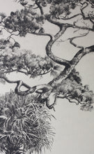Load image into Gallery viewer, Walter Ronald Locke. Along the Gulf of Mexico. Florida. Etching. 1934.