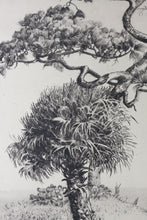 Load image into Gallery viewer, Walter Ronald Locke. Along the Gulf of Mexico. Florida. Etching. 1934.