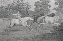 Load image into Gallery viewer, Victor Levasseur. Map of Amérique méridionale. 1850 - 1900.