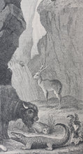 Load image into Gallery viewer, Victor Levasseur. Map of Amérique Septentrionale. 1850 - 1900.