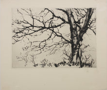 Load image into Gallery viewer, Samuel V. Chamberlain. A Study of trees. Drypoint. 1926.