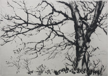 Load image into Gallery viewer, Samuel V. Chamberlain. A Study of trees. Drypoint. 1926.