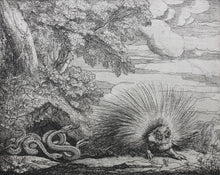 Load image into Gallery viewer, Francis Barlow. XL. The Porcupines and Adders. From Aesop's Fables. Etching. 1666.
