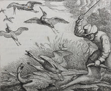 Load image into Gallery viewer, Francis Barlow. LXXIX. The Geese in the Corn. From Aesop's Fables. Etching. 1666.