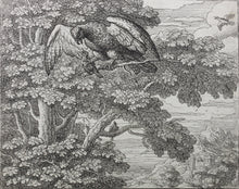 Load image into Gallery viewer, Francis Barlow. LXXVI. The Nightingale and Hawk. From Aesop's Fables. Etching. 1666.
