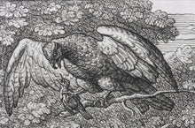 Load image into Gallery viewer, Francis Barlow. LXXVI. The Nightingale and Hawk. From Aesop's Fables. Etching. 1666.