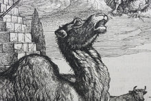 Load image into Gallery viewer, Francis Barlow. LXV. Jupiter and the Camels. From Aesop's Fables. Etching. 1666.