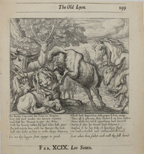 Load image into Gallery viewer, Francis Barlow. XCIX. The Old Lion. From Aesop's Fables. Etching. 1666.