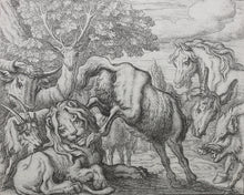 Load image into Gallery viewer, Francis Barlow. XCIX. The Old Lion. From Aesop's Fables. Etching. 1666.