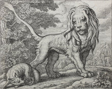 Load image into Gallery viewer, Francis Barlow. XXVII. The Lion and Fox. From Aesop's Fables. Etching. 1666.