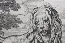 Load image into Gallery viewer, Francis Barlow. XXVII. The Lion and Fox. From Aesop's Fables. Etching. 1666.