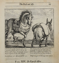 Load image into Gallery viewer, Francis Barlow. XIV. The Horse and Ass. From Aesop's Fables. Etching. 1666.