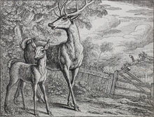 Load image into Gallery viewer, Francis Barlow. LXIII. The Old Deer and Fawn. From Aesop's Fables. Etching. 1666.