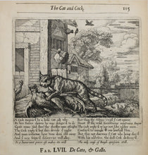 Load image into Gallery viewer, Francis Barlow. LVII. The Cat and Cock. From Aesop's Fables. Etching. 1666.