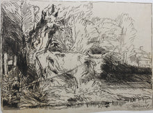 Load image into Gallery viewer, Rembrandt, after. The Bull. Etching by Léopold Flameng. C. 1859.