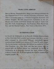 Load image into Gallery viewer, Mara Lynn Abboud. Garden Interior. Serigraph. Limited edition. 1975.