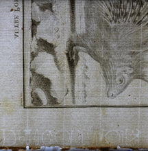 Load image into Gallery viewer, Jacques de Sève, after. Autre Porc - epic. Engraved by Christian Friedrich Fritzsch. 1770.