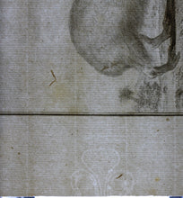 Load image into Gallery viewer, Jacques de Sève, after. Le Cabiai. Engraved by Christian Friedrich Fritzsch. 1770.