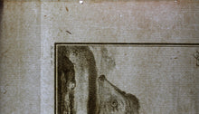 Load image into Gallery viewer, Jacques de Sève, after. Le Herisson. Engraved by Christian Friedrich Fritzsch. C. 1772.