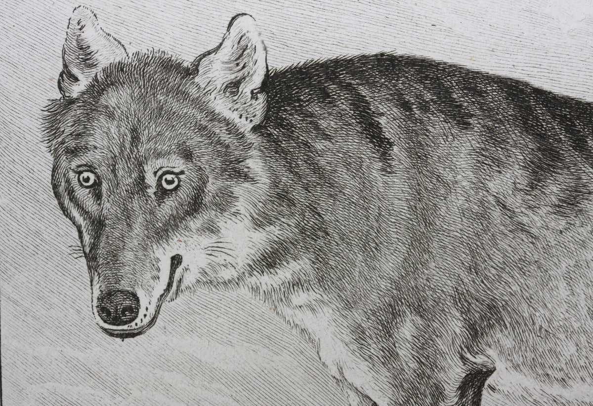 Jacques de Sève, after. Le Loup. Engraved by Christian Friedrich Fritz