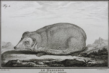 Load image into Gallery viewer, Jacques de Sève, after. Le Herisson. Engraved by Christian Friedrich Fritzsch. C. 1772.