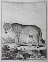 Load image into Gallery viewer, Jacques de Sève, after. Le Loup. Engraved by Christian Friedrich Fritzsch. 1772.