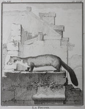 Load image into Gallery viewer, Jacques de Sève, after. La Fouine. Engraved by Christian Friedrich Fritzsch. 1772.