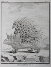 Load image into Gallery viewer, Jacques de Sève, after. Autre Porc - epic. Engraved by Christian Friedrich Fritzsch. 1770.