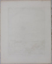 Load image into Gallery viewer, Jacques de Sève, after. le Desman. Engraved by Christian Friedrich Fritzsch. 1768.