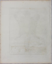 Load image into Gallery viewer, Jacques de Sève, after. Le Polatouche. Engraved by Christian Friedrich Fritzsch. C. 1772.